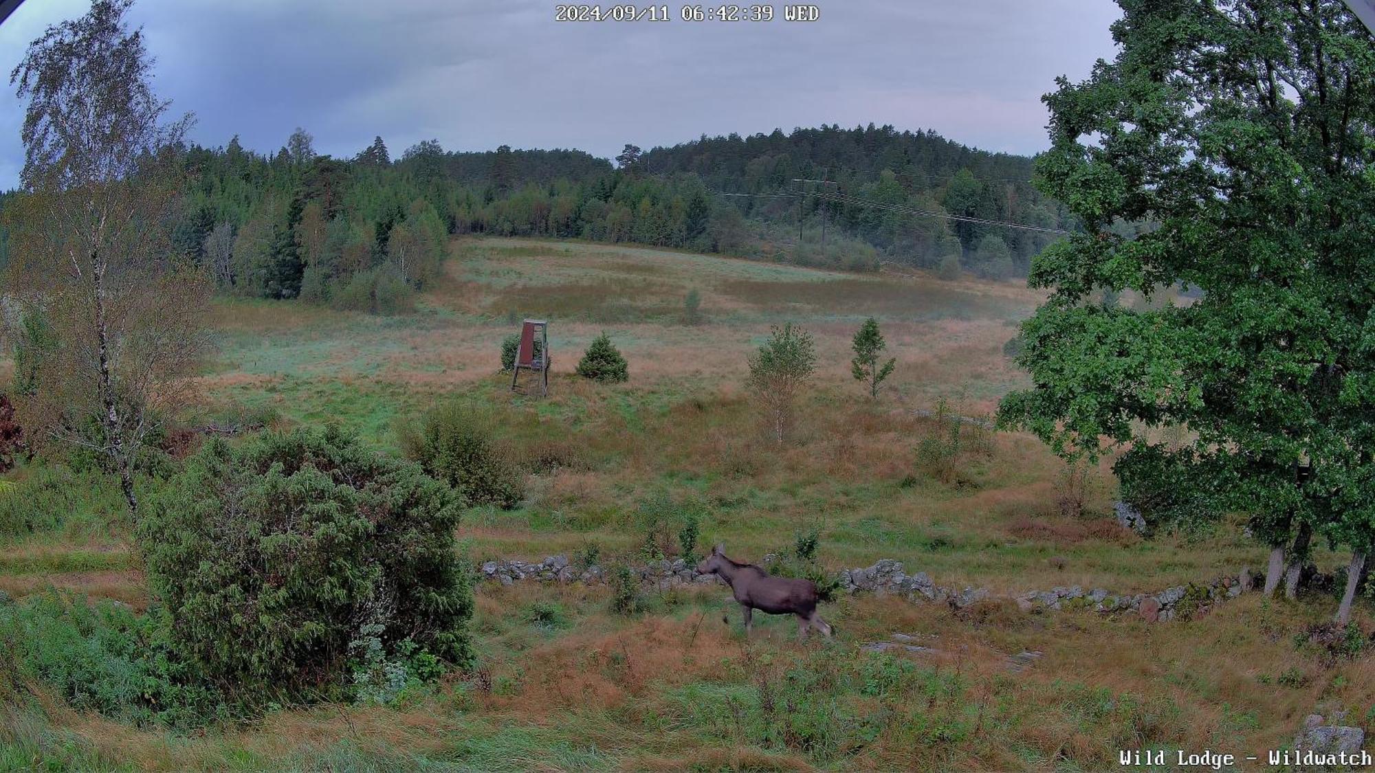 Wild Lodge Nol Esterno foto