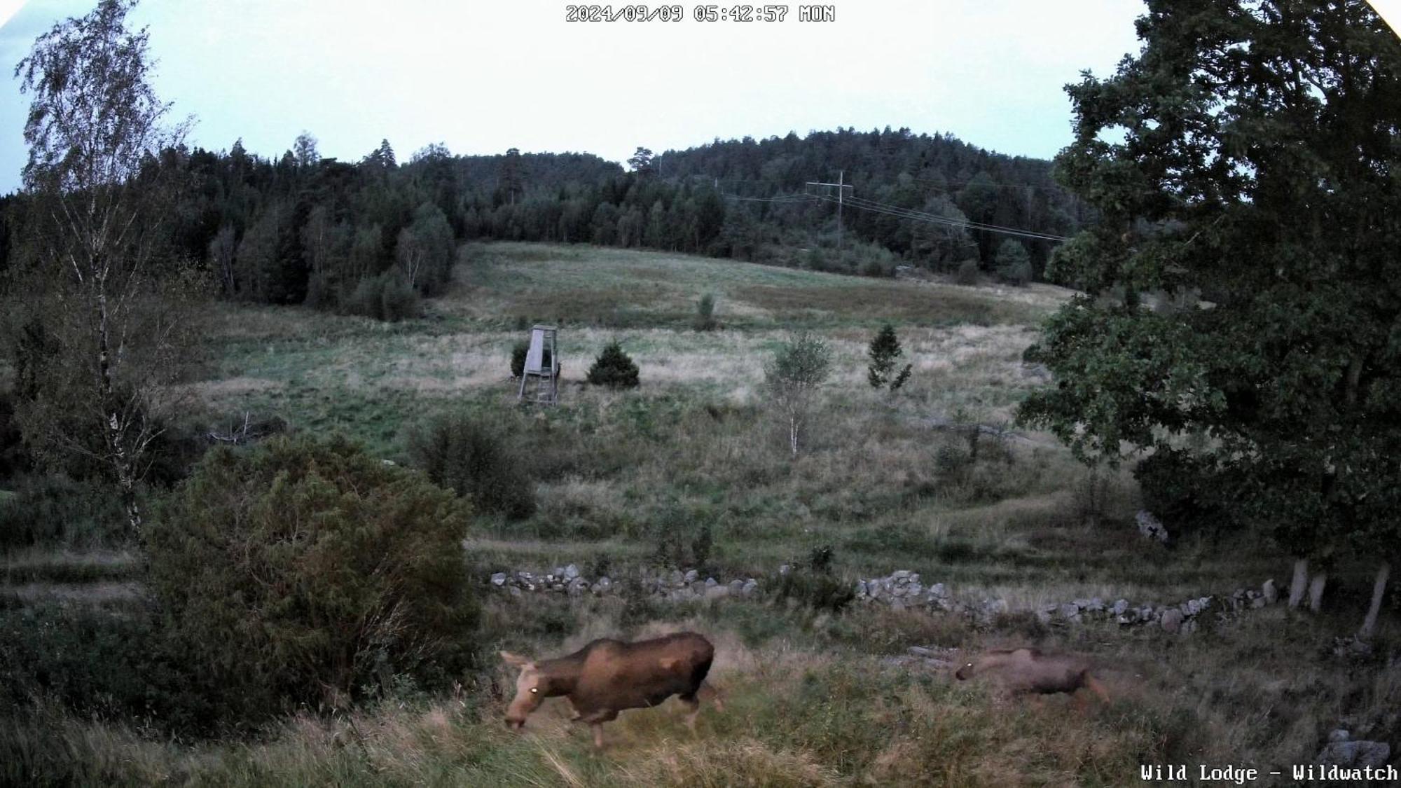 Wild Lodge Nol Esterno foto